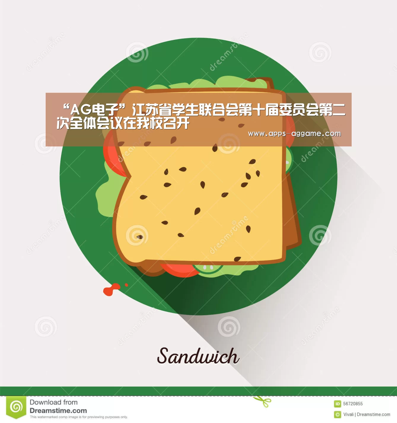 “AG电子”江苏省学生联合会第十届委员会第二次全体会议在我校召开