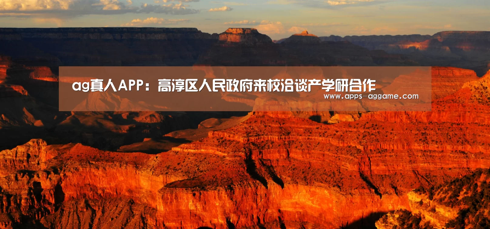 ag真人APP：高淳区人民政府来校洽谈产学研合作