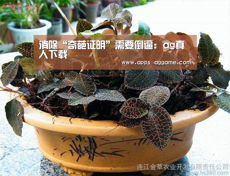 消除“奇葩证明”需要倒逼:ag真人下载(图1) ag真人厅下载